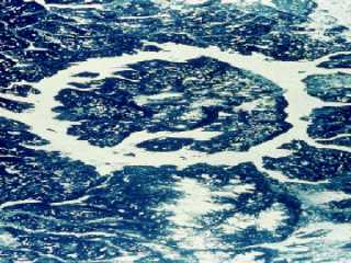 [IMAGE: Lake Manicougan crater in Canada]